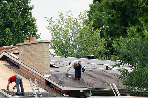 Best Storm Damage Roof Repair  in Bethany, MO