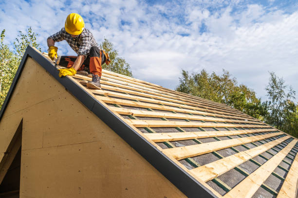 Best Roof Gutter Cleaning  in Bethany, MO